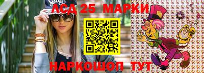 a pvp Камышлов