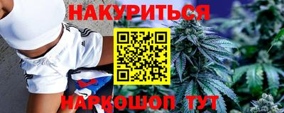 a pvp Камышлов