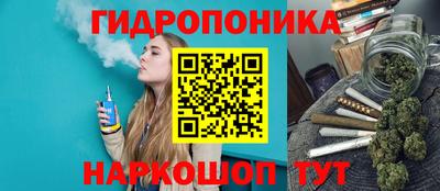 a pvp Камышлов