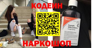 a pvp Камышлов