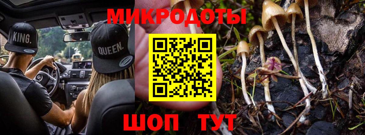 Канаш  Галлюциногенные грибы мицелий  Вход с VPN  Галлюциногенные грибы мицелий 